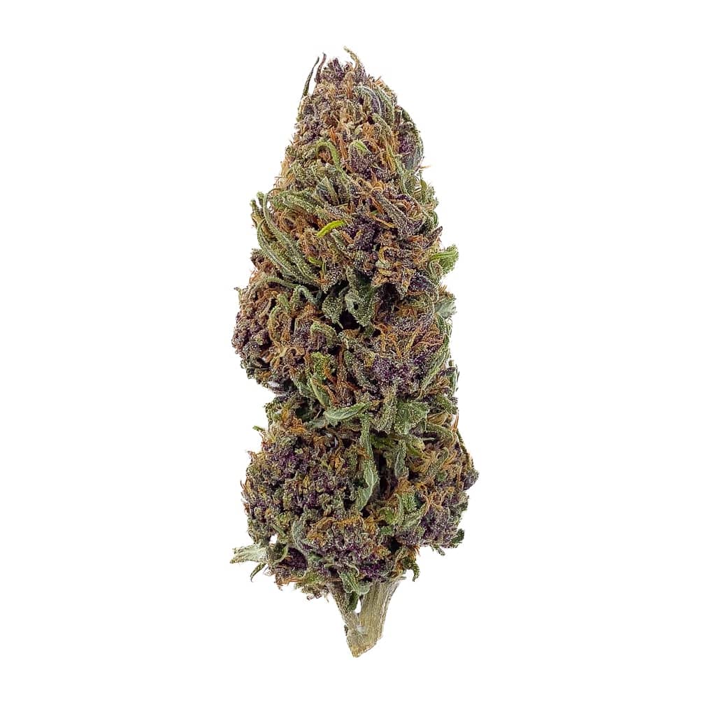 Purple Haze