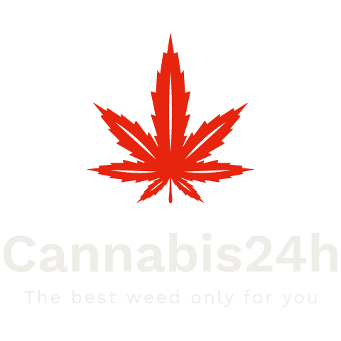 Cannabis24h