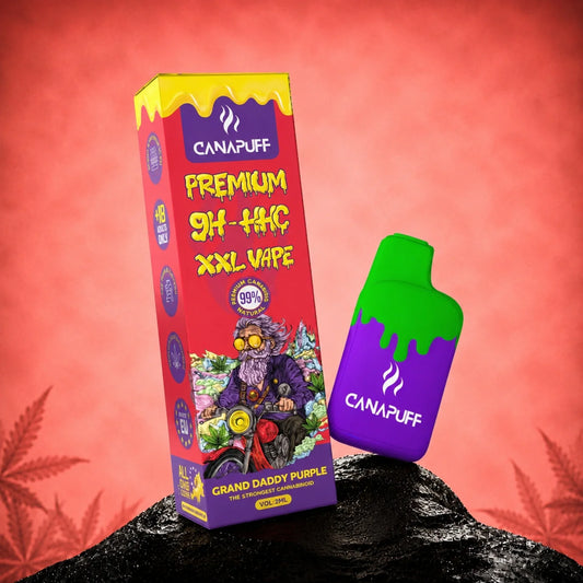 Vape pen usa e getta 9H-HHC 99% XXL GRAN DADDY PURPLE