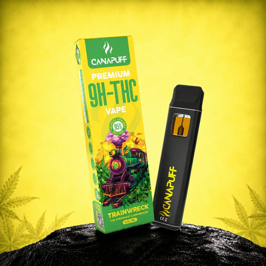 Vape pen usa e getta 9H-THC 95% TRAINWRECK