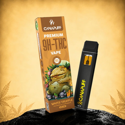 Vape pen usa e getta 9H-THC 95% WHITE TRUFFLE